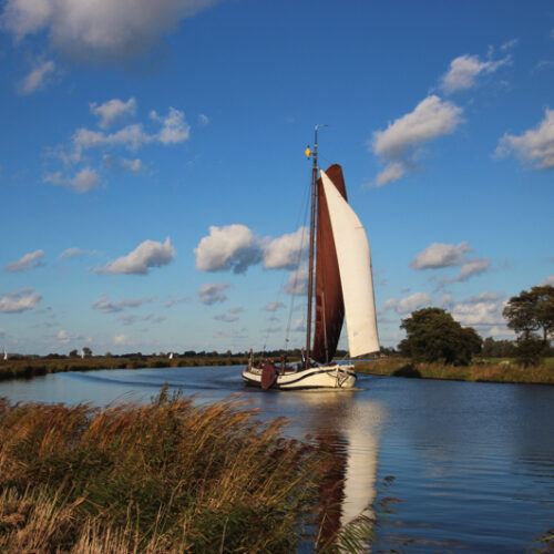 1.Dagzeilen-5-Resized