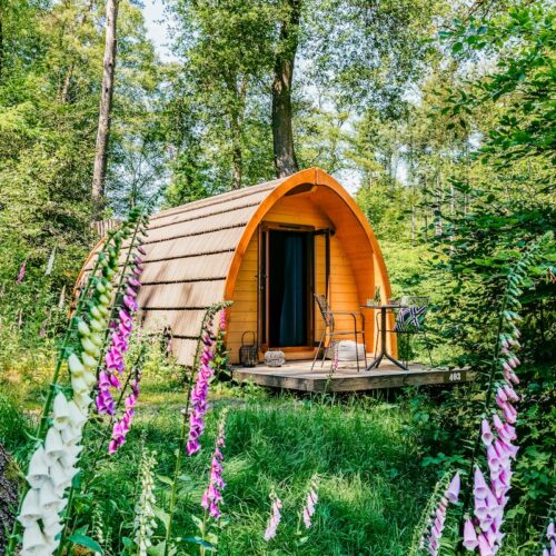 1.Superior-pod-natures-gift-belevenis-uitje-in-de-natuur-uniek-slapen-buitendouche-cadeau