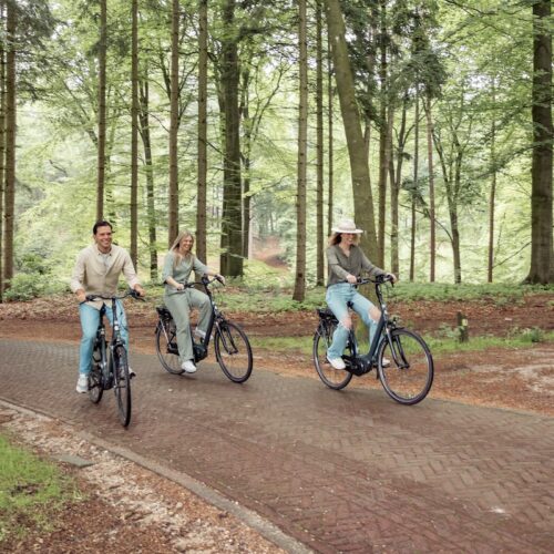 2.E-Bike-fiets-Natures-Gift-2-personen-veluwe-actief-uitje-in-de-natuur-groen-sportief-vrienden-belevenis-fietsen
