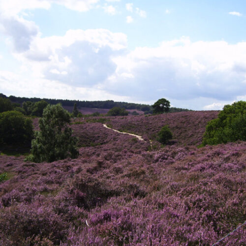 3.gezinsfietstocht3-Resized