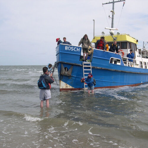 7.Rif-engelsmanplaat-tocht-wadden