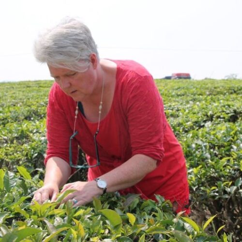 xr:d:DAFctoH5pQw:6,j:48455477182,t:23030915