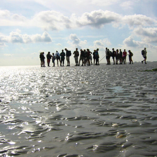 Wadden-Schiermonnikoog-arrangement-doen-kado-uitjes-cadeau-geven-belevenis12