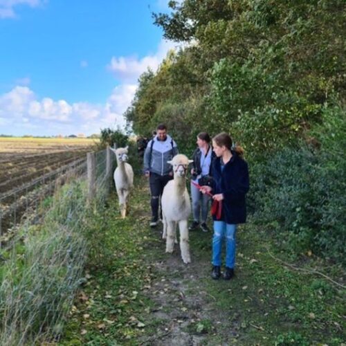 xr:d:DAFctmFU9ZI:3,j:48451668731,t:23030914