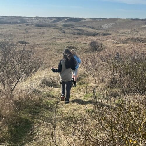 doenkado-natures-gift-cadeau-belevenis-eropuit-natuur-meditatie-medicinale-planten3